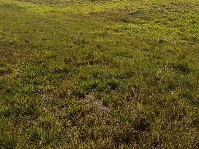 Área para Venda em Caçapava - 4