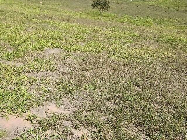 Área para Venda em Caçapava - 5